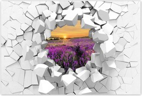 Poszterek 120x80 Levendula naplemente