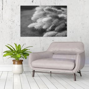 Kép - nyúlfarknyi fű az asztalon (90x60 cm)