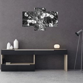 Kép - Pókháló a réten (90x60 cm)