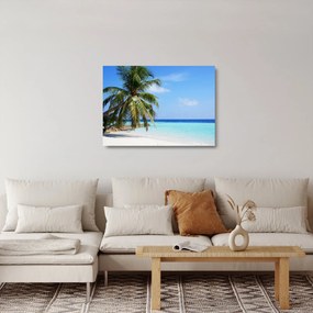 Pálmafák a strandon képe (üvegen) (70x50 cm)