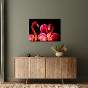 Vörös flamingók képe
 (üvegen) (70x50 cm)