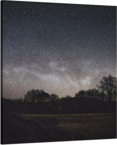 Vászonkép Kozmosz Csillagos égbolt 80x100