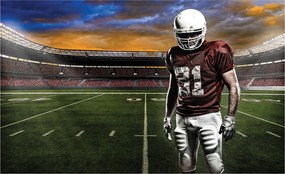 Flizelin fotótapéta Amerikai foci stadion Perspektíva 250x175 +ragasztó