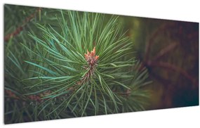 Kép - Fenyőfa részlete (120x50 cm)