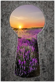 Poszterek 40x60 Levendulamező Nyugat