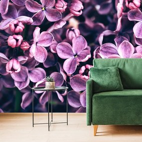 Öntapadó fotótapéta lila orgona virág