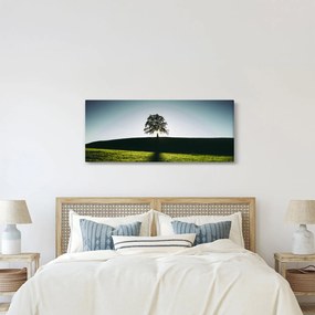 Természet kép - fa (120x50 cm)