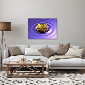 Kép - Tavirózsa (70x50 cm)