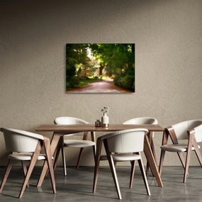 Park képe (üvegen) (70x50 cm)