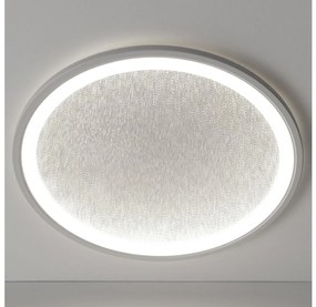 Brilliant Brilliant - LED Dimmelhető mennyezeti lámpa TANIDA LED/31W/230V 3000-6500K + távirányító BI0051