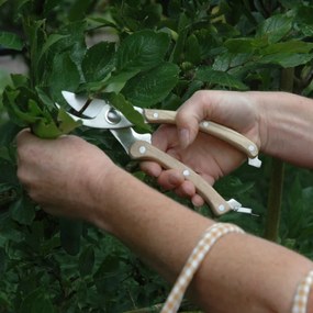 Rozsdamentes acél metszőolló, kőrisfa nyéllel, 20 cm