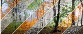 Kép - Változó évszakok (120x50 cm)