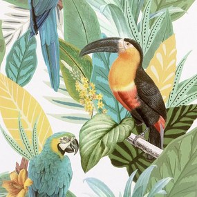 Arthouse Signature 1 Toucan Jungle színes madaras vlies tapéta – 296803