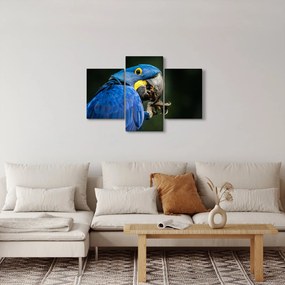 Papagáj képe (90x60 cm)