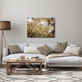 Kép - Zöld növényzet (70x50 cm)
