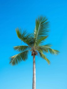 Poszter 15x20cm Égi magaslatok