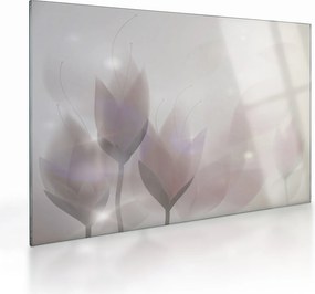 Kép - krókuszok (üvegen) (70x50 cm)