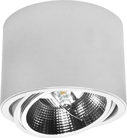 DOMENOLED 448 DOWNLIGHT Hengeres Mennyezeti Lámpa Fehér GU10/AR111 IP20
