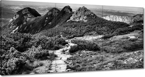 Képek 120x60 Tátra Lengyel hegyek Kilátás