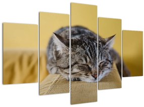 Macska a kanapén képe (150x105 cm)
