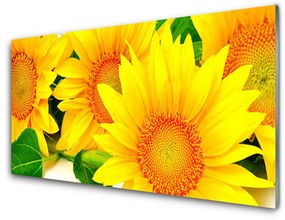 Akrilüveg fotó Napraforgó virág természet 100x50 cm