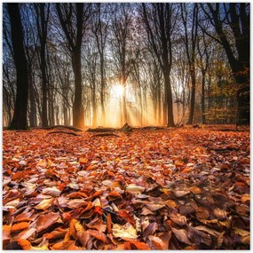 Poszterek 30x30 Őszi kilátás Tájkép