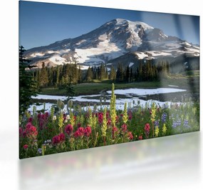 Üveg kép - Mount Rainier (70x50 cm)