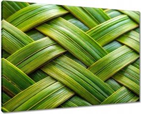 Vászonkép 70x50 Zöld fonott Zöld rattan fonott lemez