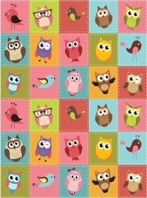 Fotótapéta Baglyok Gyerekek színes madarak vinil 184x254 +ragasztó