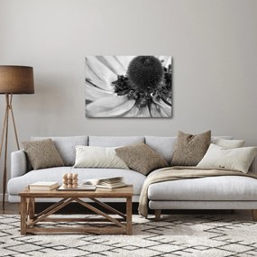 Kép - Virág fekete-fehérben (70x50 cm)