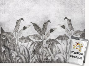 Fotótapéta Flizelina Fal Beton Növényzet Banánlevél 300x210 ragasztó