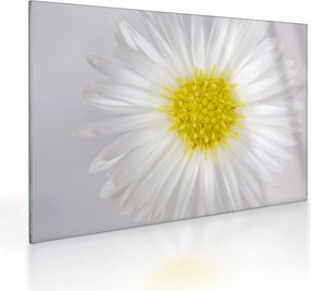 Kép - Margarita (üvegen) (70x50 cm)