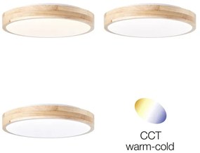 Brilliant - LED Mennyezeti lámpa SLIMLINE LED/14W/230V 3000/4000K