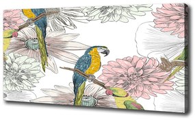 Vászonkép Papagájok és virágok oc-110762847