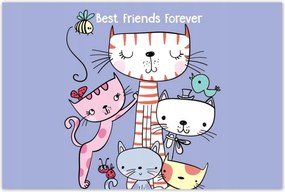 Poszterek 120x80 Cica Cicák Macskák