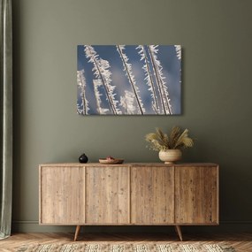 Kép - Fagy (90x60 cm)