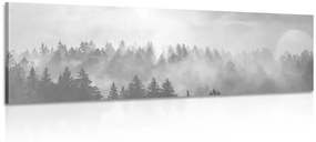 Kép hegyek ködben fekete fehérben