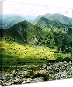 Vászonkép 30x30 Tátra Lengyel hegyek Kilátás