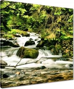 Vászonkép 40x40 Folyó a Tátrában