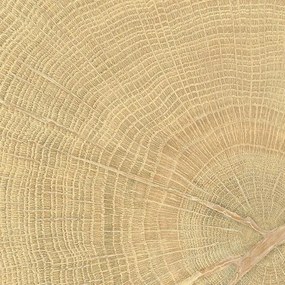 Padló Emil W-Circles oak 10x10 cm matt 00ENJD68