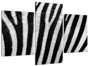 Kép egy zebra bőrről (90x60 cm)