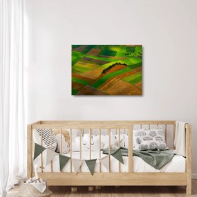 Kép - Mezők, rétek (üvegen) (70x50 cm)