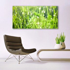 Vászonkép nyomtatás Grass Nature Plant 100x50 cm