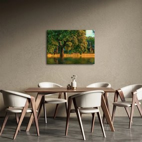 Zsiráf a természetben képe (70x50 cm)