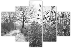 Kép - Mezők télen (150x105 cm)