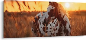 Kép - Ló naplementében (120x50 cm)