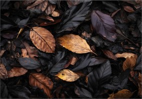 Fotótapéta Levelek Természet Fekete Hálószoba Nappali Tapéta Flizelina 250x175