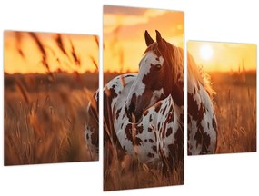 Kép - Ló naplementében (90x60 cm)