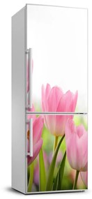 Hűtőre ragasztható matrica Rózsaszín tulipánok FridgeStick-70x190-f-76412458