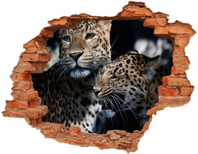 3d fali matrica lyuk a falban Két leopárd nd-c-109930645